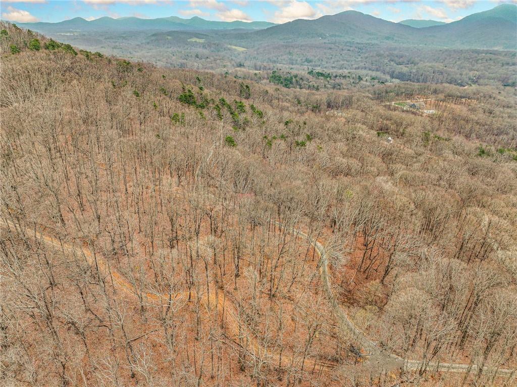 Lot 3 Mount Mincie Road Murrayville, GA 30564 - Photo 5 of 15 a view of a dry space with lots of bushes