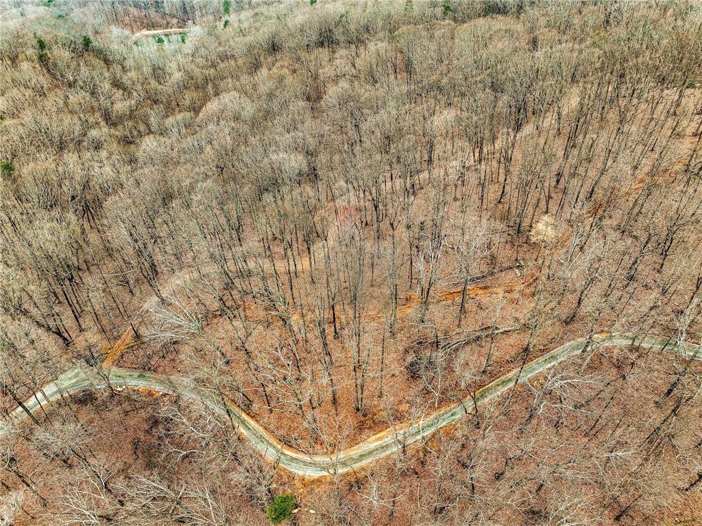 Lot 3 Mount Mincie Road Murrayville, GA 30564 - Photo 6 of 15