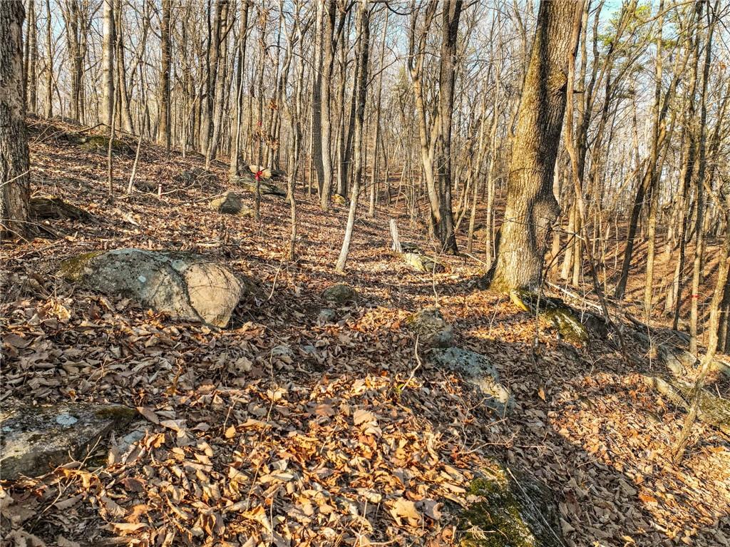Lot 3 Mount Mincie Road Murrayville, GA 30564 - Photo 8 of 15 a view of outdoor space with wooden fence and trees