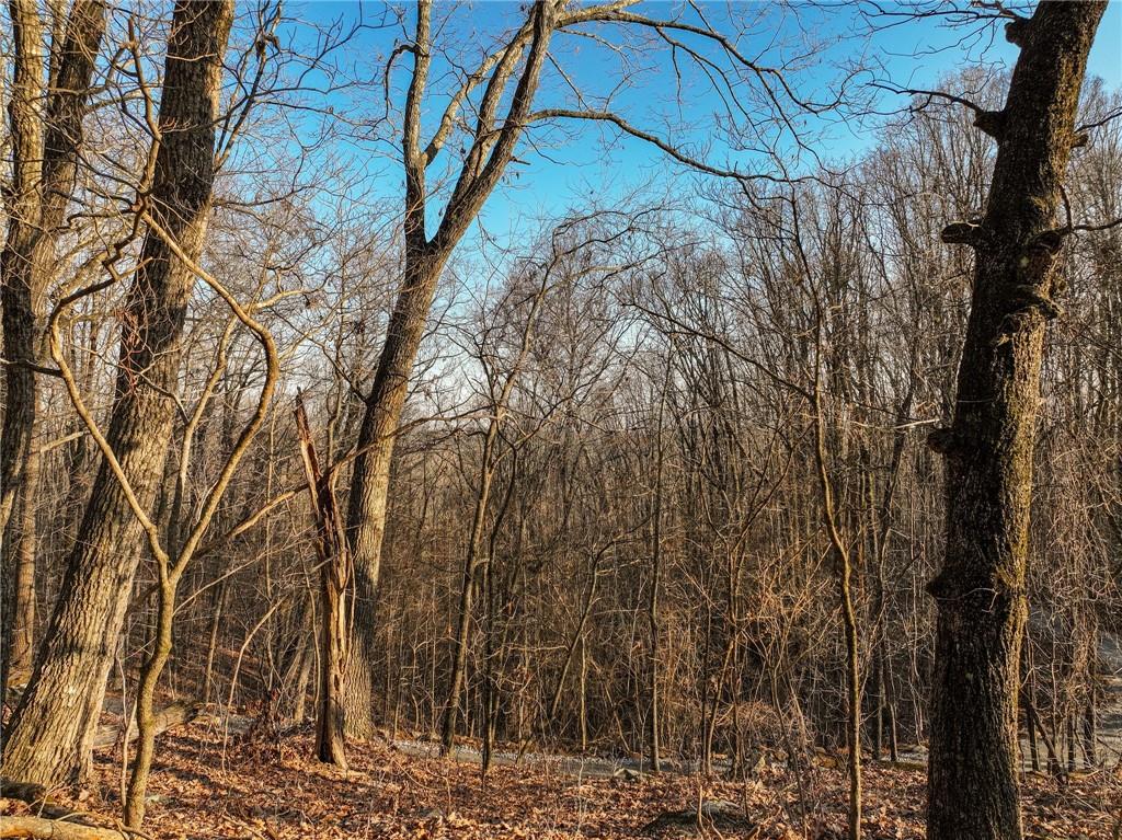 Lot 3 Mount Mincie Road Murrayville, GA 30564 - Photo 9 of 15 a view of a yard