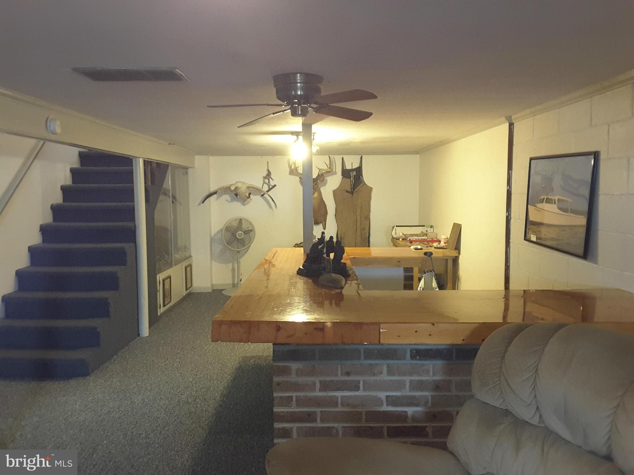 11368 Lynch Road Worton, MD 21678 - Photo 12 of 14 Basement