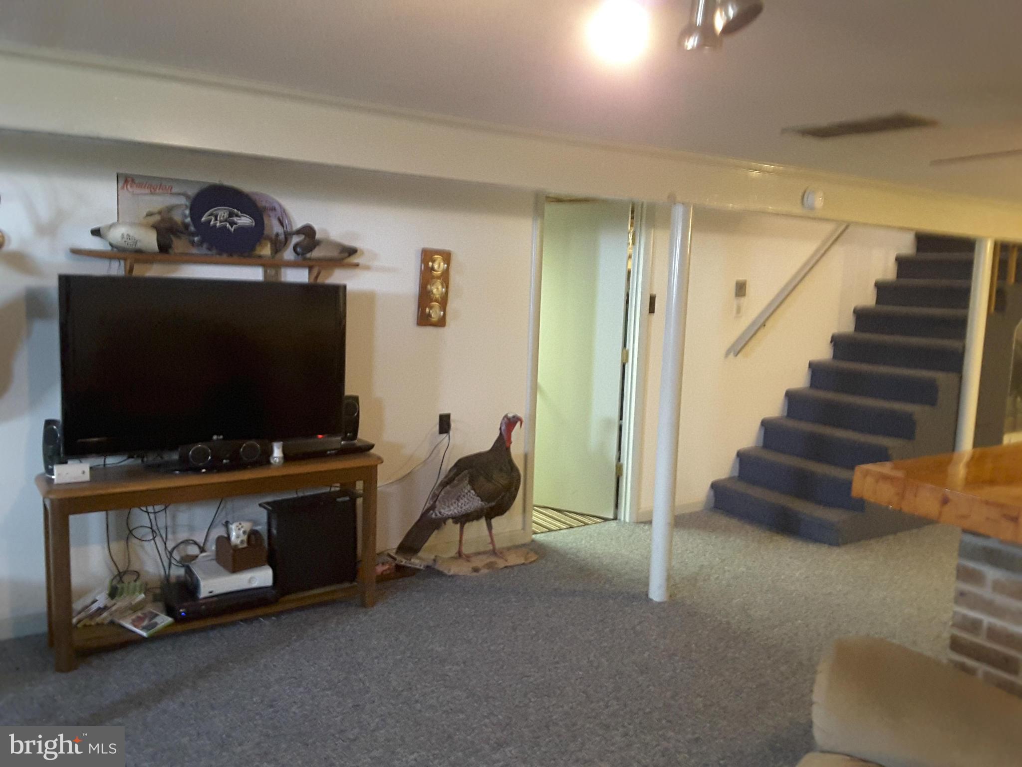 11368 Lynch Road Worton, MD 21678 - Photo 14 of 14 Basement