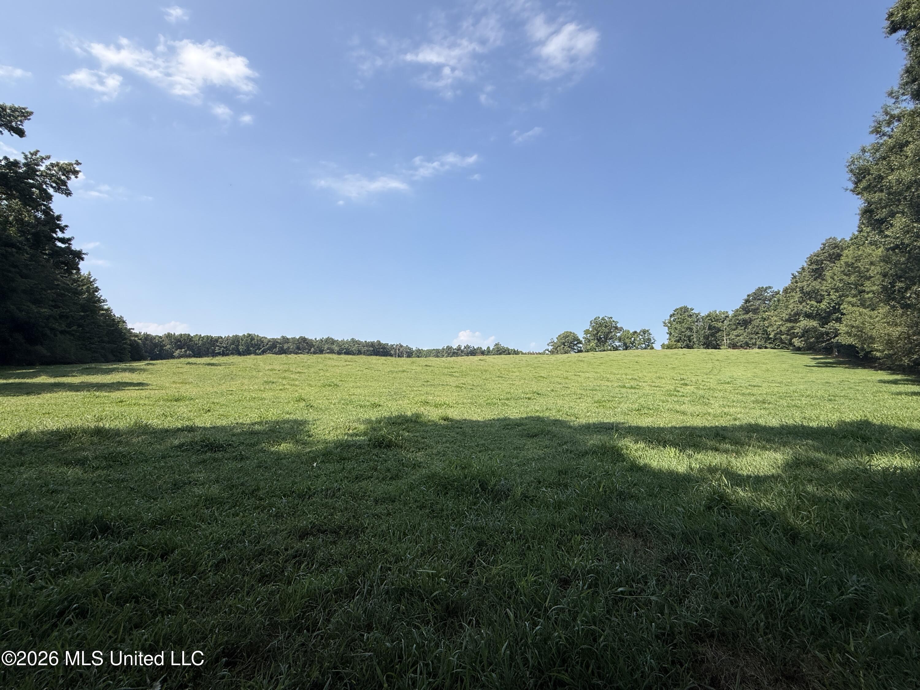 Monte Vista Road Eupora, MS 39744 - Photo 4 of 54 3