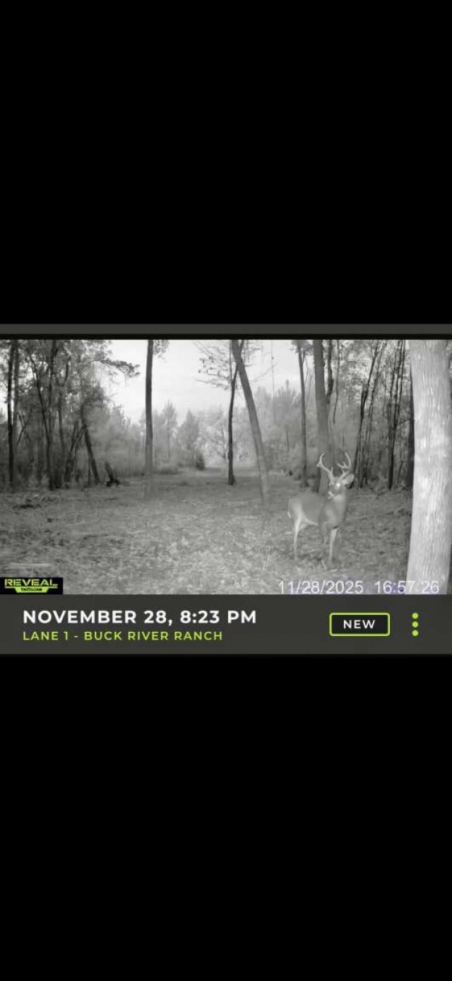 0 Sealy Wells Road Gordon, AL 36343 - Photo 20 of 25