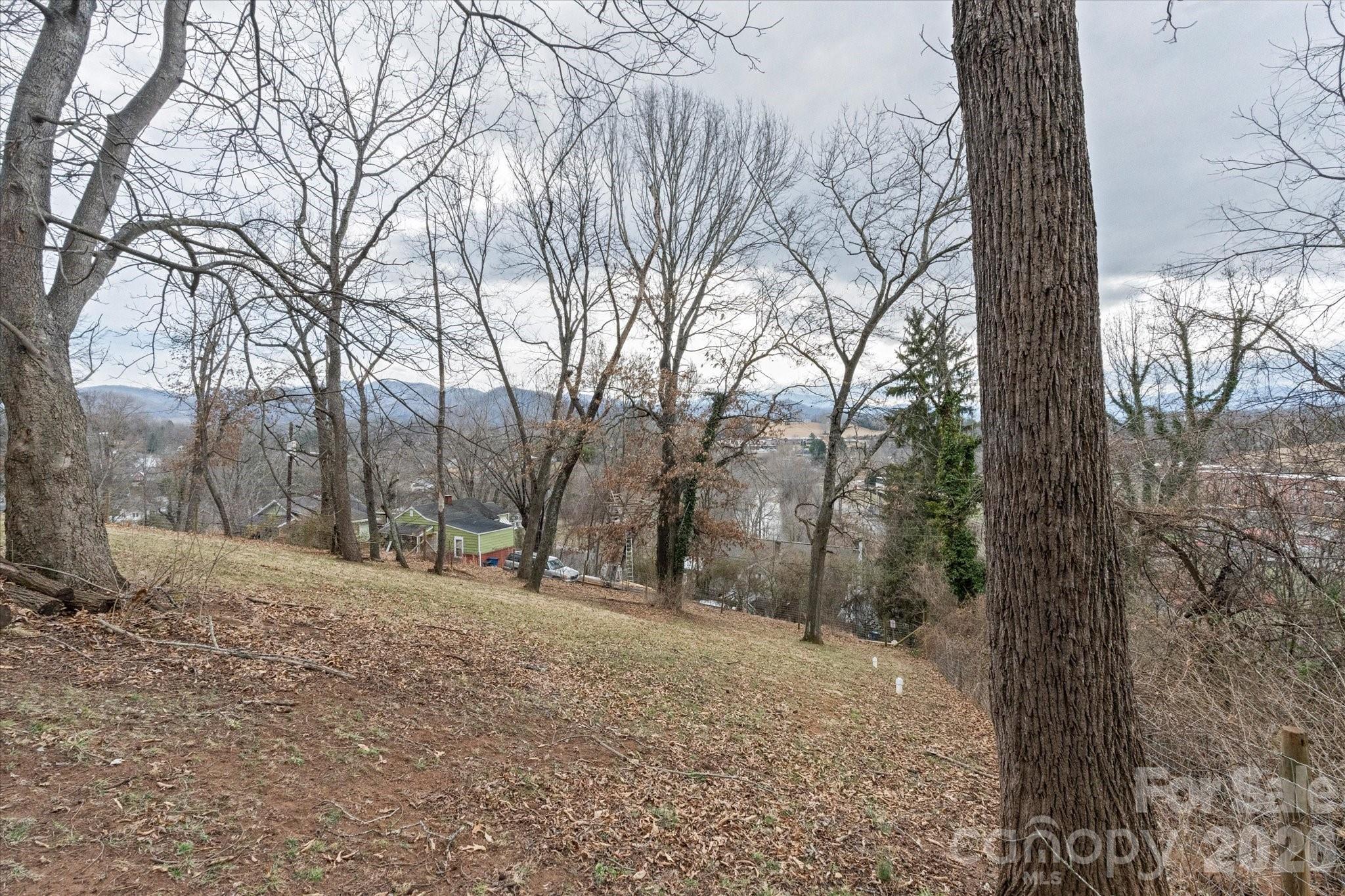 239 Northside Street Canton, NC 28716 - Photo 23 of 25