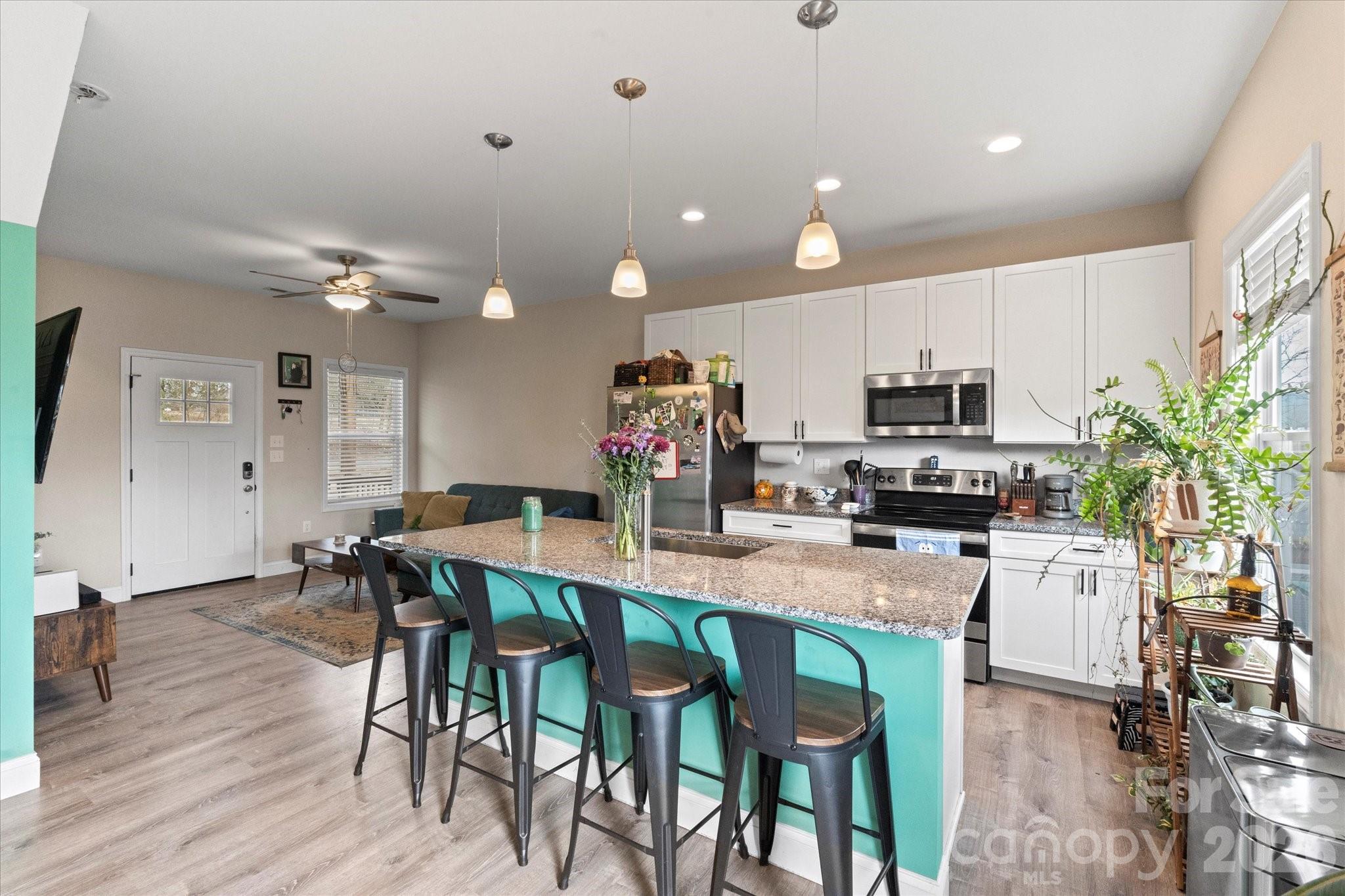 239 Northside Street Canton, NC 28716 - Photo 5 of 25