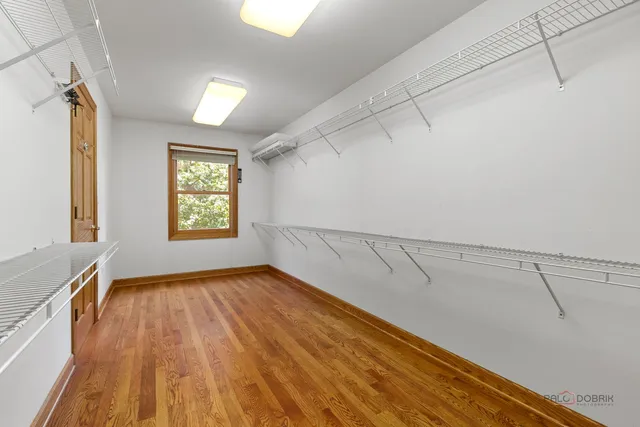 a white toilet sitting next to a shower curtain