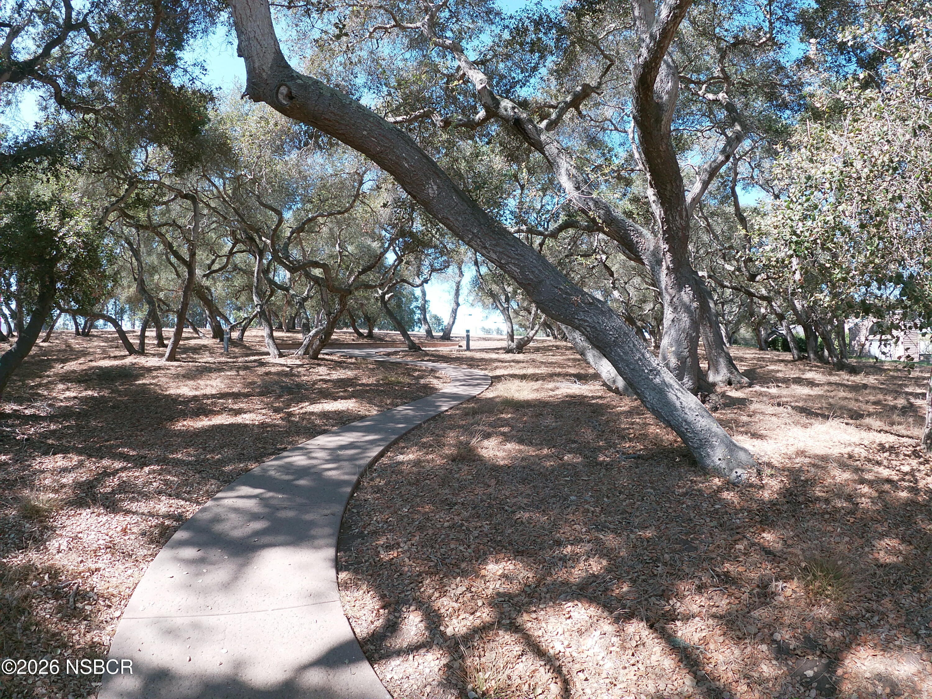 1508 Oakridge Park Road Santa Maria, CA 93455 - Photo 37 of 41 Walking Path