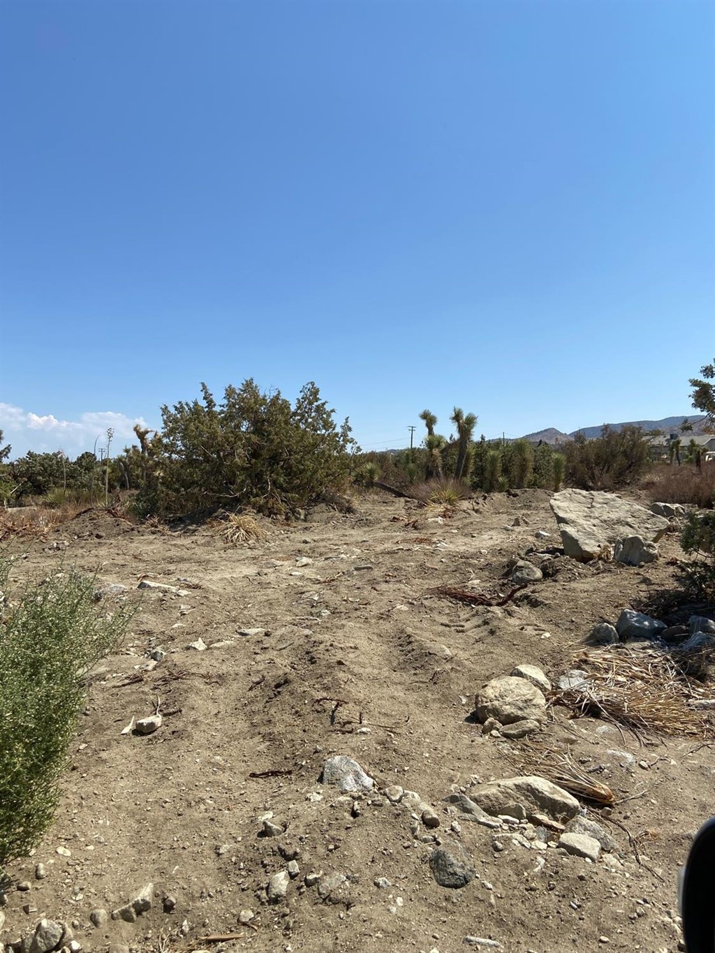 325 Buckthorne Road Pinon Hills, CA 92372 - Photo 1 of 1 a view of a field with trees in background
