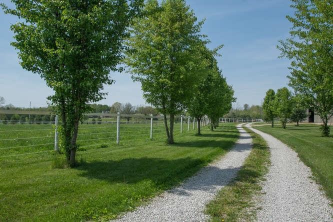 440 West Monroe Dam Road Bloomington, IN 47403 - Photo 23 of 30 Gallery Image 23