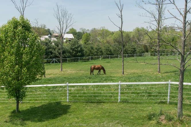 440 West Monroe Dam Road Bloomington, IN 47403 - Photo 27 of 30 Gallery Image 27