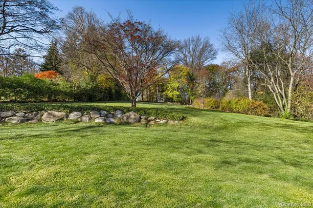 a view of a park with large trees