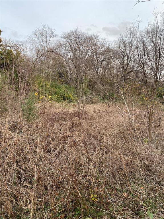 2714 Henry Road Lancaster, TX 75134 - Photo 12 of 19 a view of a forest with trees in the background