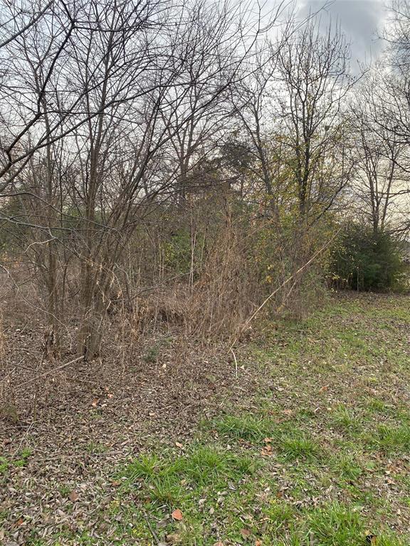 2714 Henry Road Lancaster, TX 75134 - Photo 10 of 19 a view of a field with trees in the background