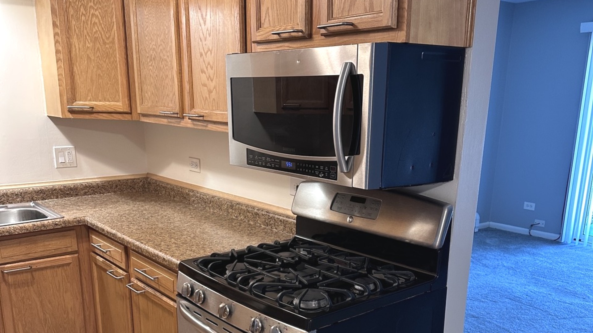 7005 99th Street, Unit 4 Chicago Ridge, IL 60415 - Photo 8 of 13