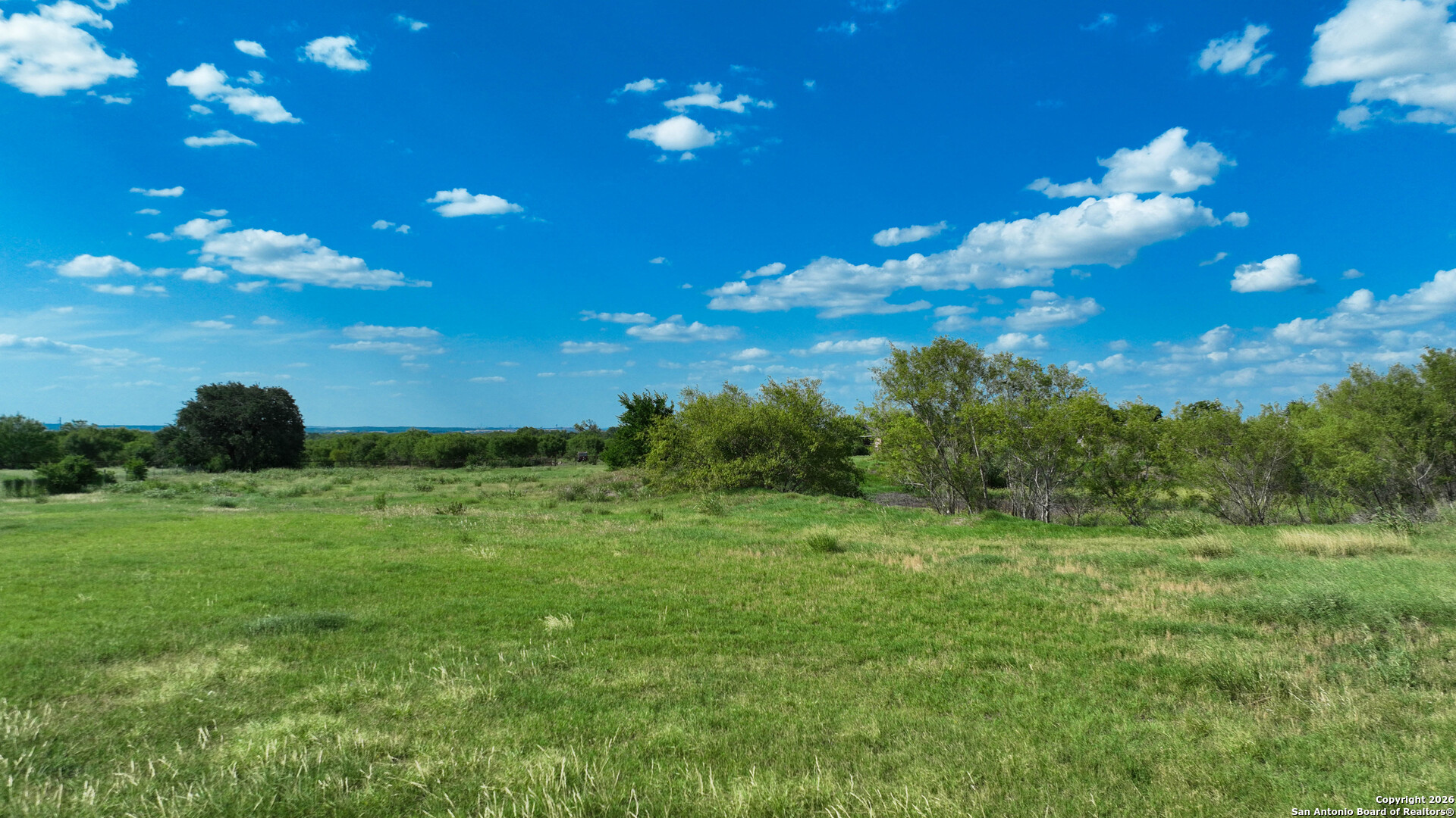 12725 Wisdom Road Atascosa, TX 78002 - Photo 14 of 18 a view of a green field