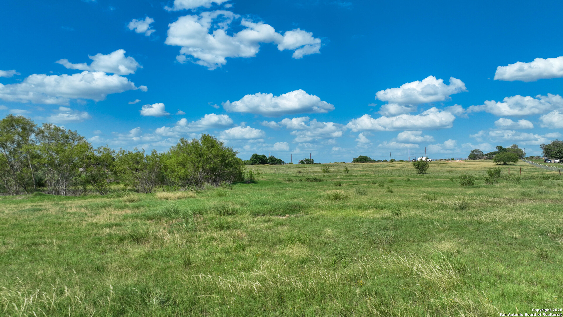 12725 Wisdom Road Atascosa, TX 78002 - Photo 15 of 18 a view of a big yard with lots of bushes