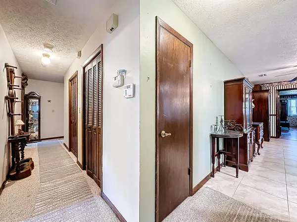 a view of a backyard with large trees