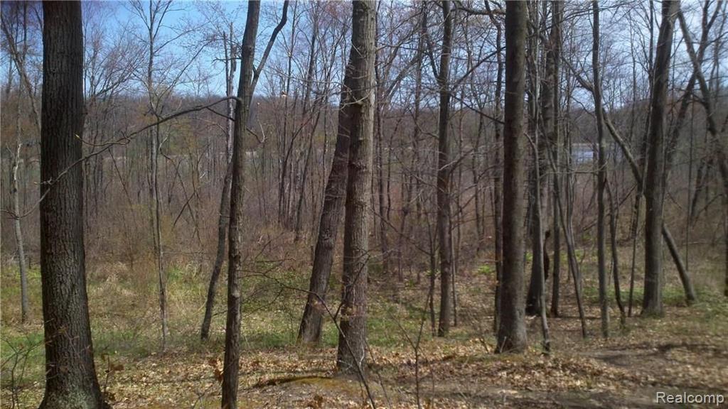 V/l V/l Doyle Road Pinckney, MI 48169 - Photo 15 of 24