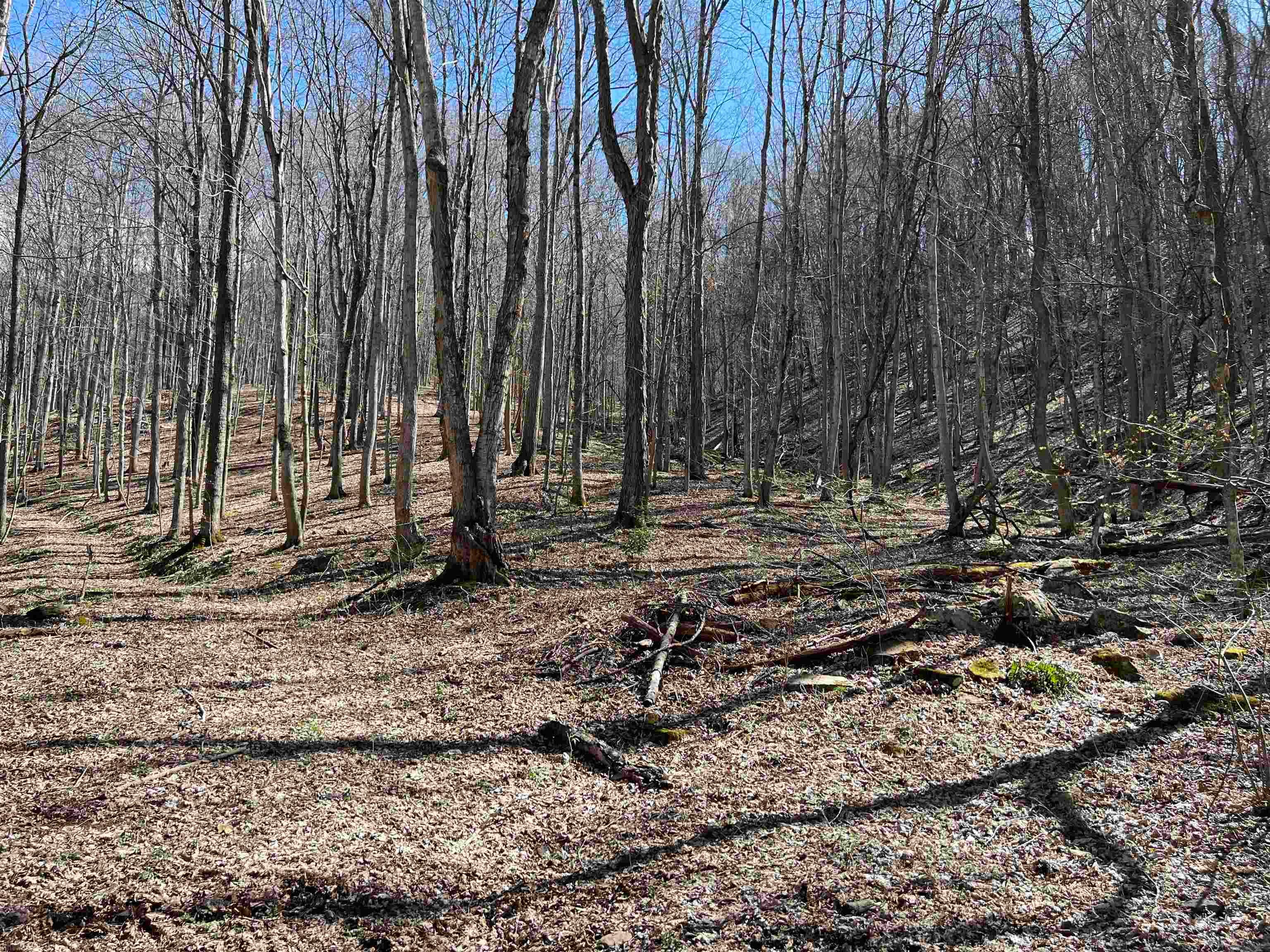 Tbd Lumber Jack Road Narrows, VA 24124 - Photo 31 of 31 Gallery Image 31