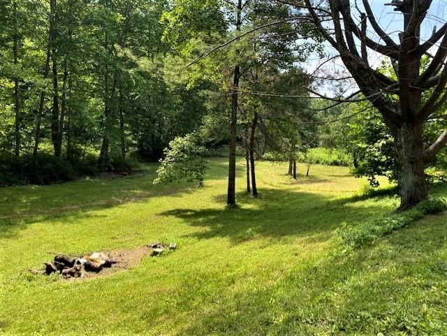 2389 Trace Branch Road Livingston, KY 40445 - Photo 3 of 23 3