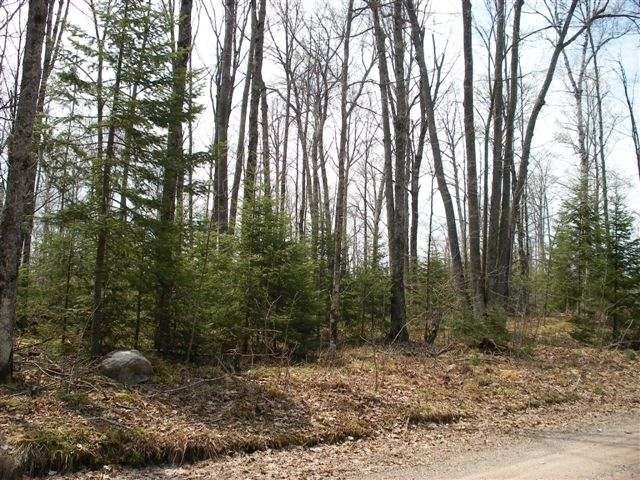 11-12 Feely Lake Road Mercer, WI 54547 - Photo 13 of 14 Gallery Image 13