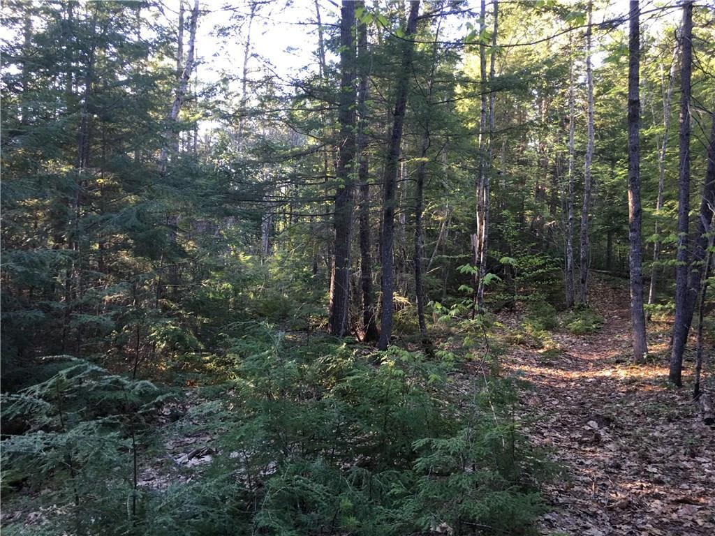 0 Maxfield Road Lagrange, ME 04453 - Photo 9 of 27 Maine Waterfront Land for Sale in...