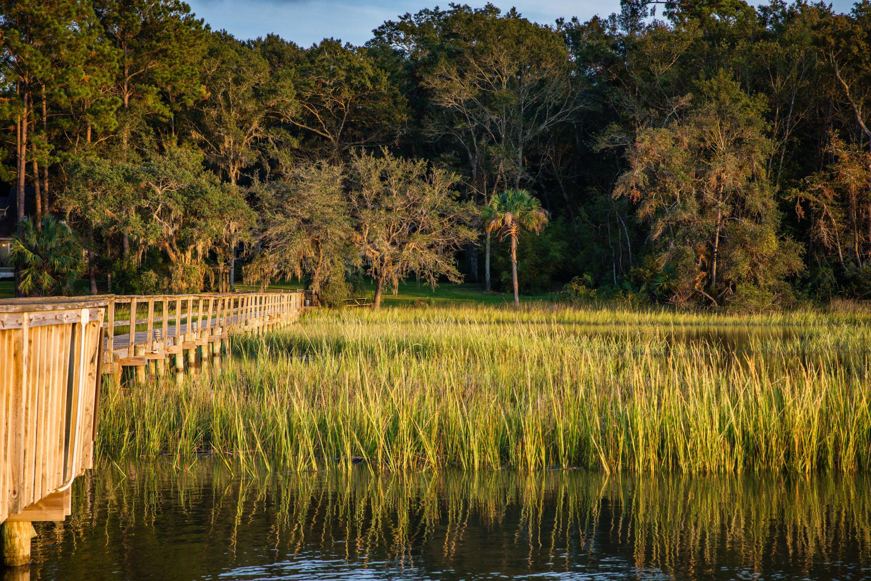3092 Bohicket Road Johns Island, SC 29455 - Photo 46 of 53 EllisCreekPhotography190926-35-6