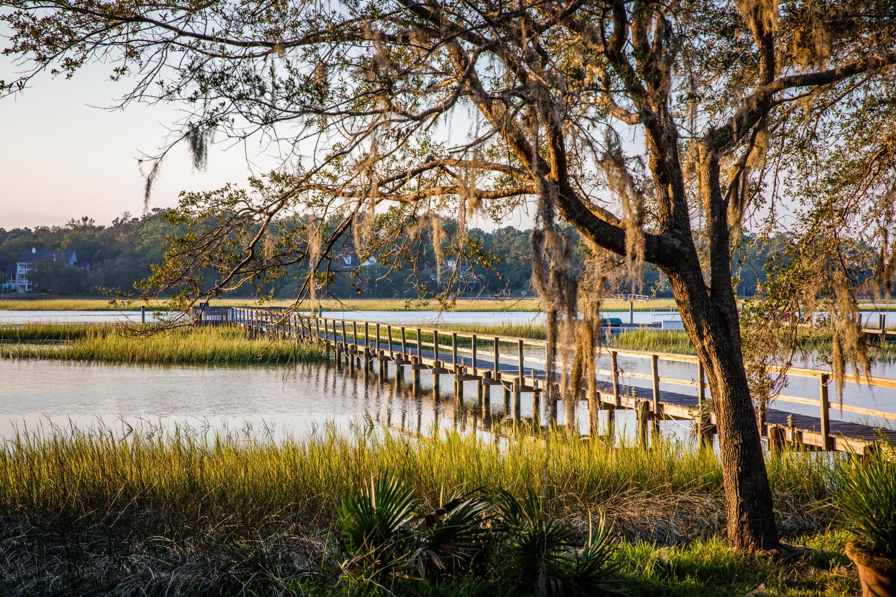 3092 Bohicket Road Johns Island, SC 29455 - Photo 8 of 53 EllisCreekPhotography190926-2-HDR-1