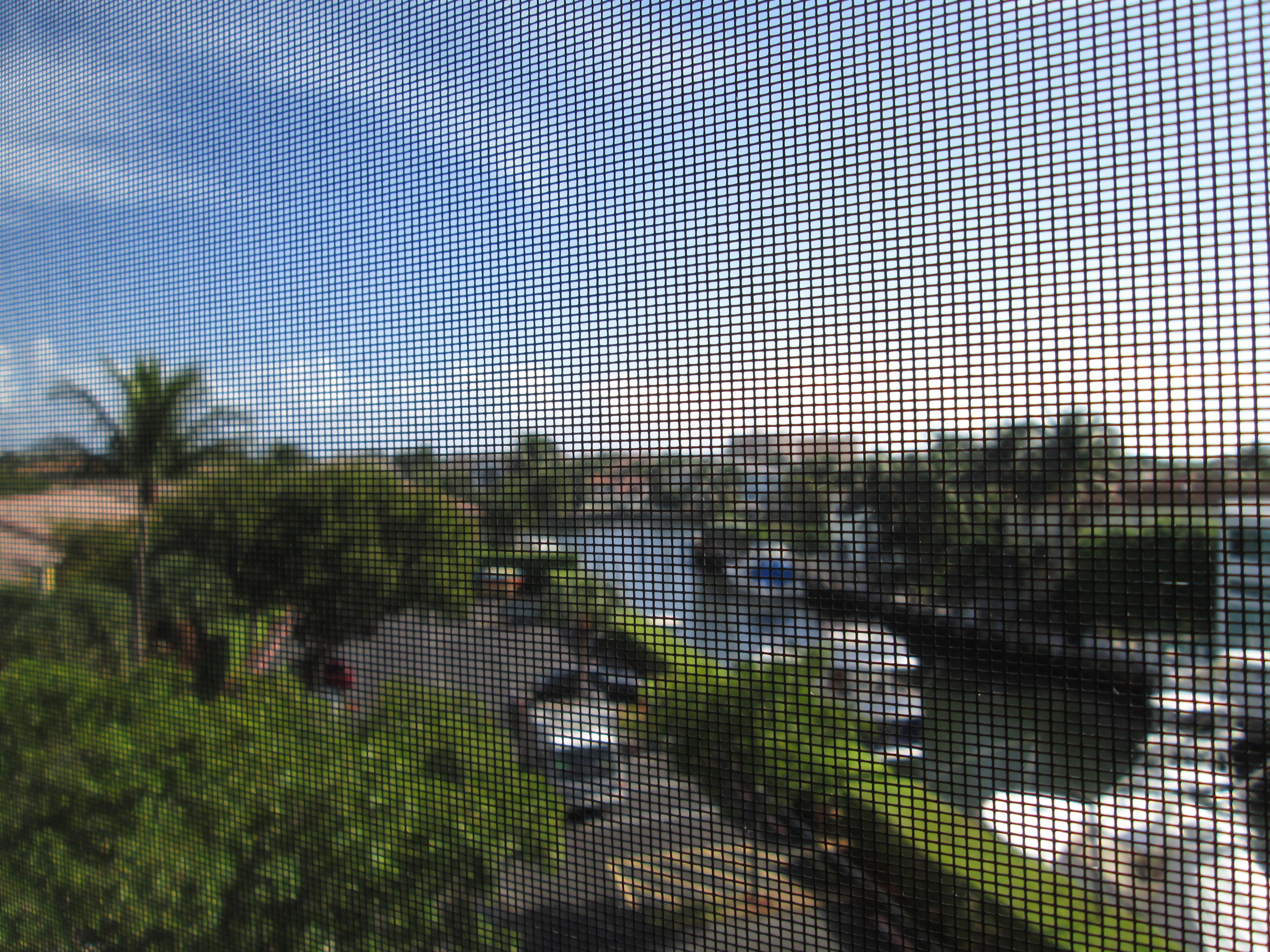 800 Jeffery Street, Unit PH1 Boca Raton, FL 33487 - Photo 42 of 49 IMG_2338