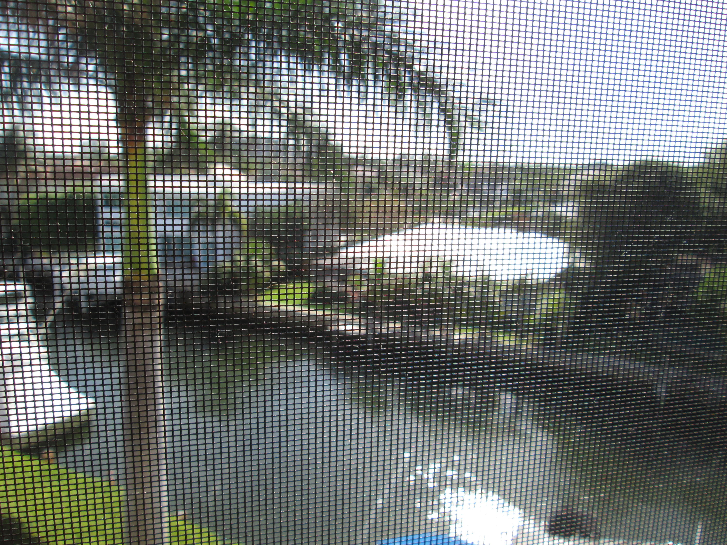 800 Jeffery Street, Unit PH1 Boca Raton, FL 33487 - Photo 43 of 49 IMG_2339