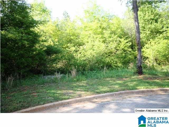 0 Almaroad Place Southwest, Unit 107 Jacksonville, AL 36265 - Photo 12 of 31