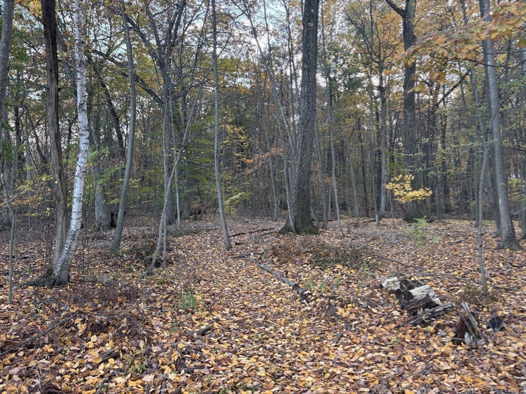 43 Wishing Well Way West Springfield, MA 01089 - Photo 9 of 42 a backyard of a house with lots of green space