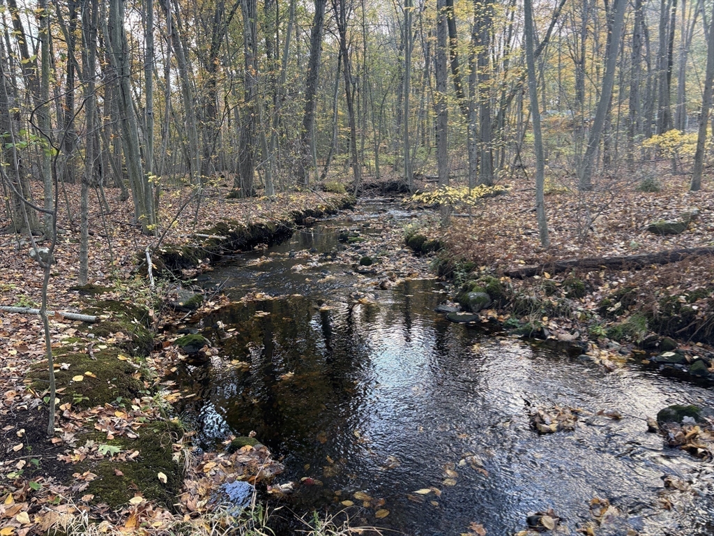 43 Wishing Well Way West Springfield, MA 01089 - Photo 10 of 42 a view of water covered with large trees