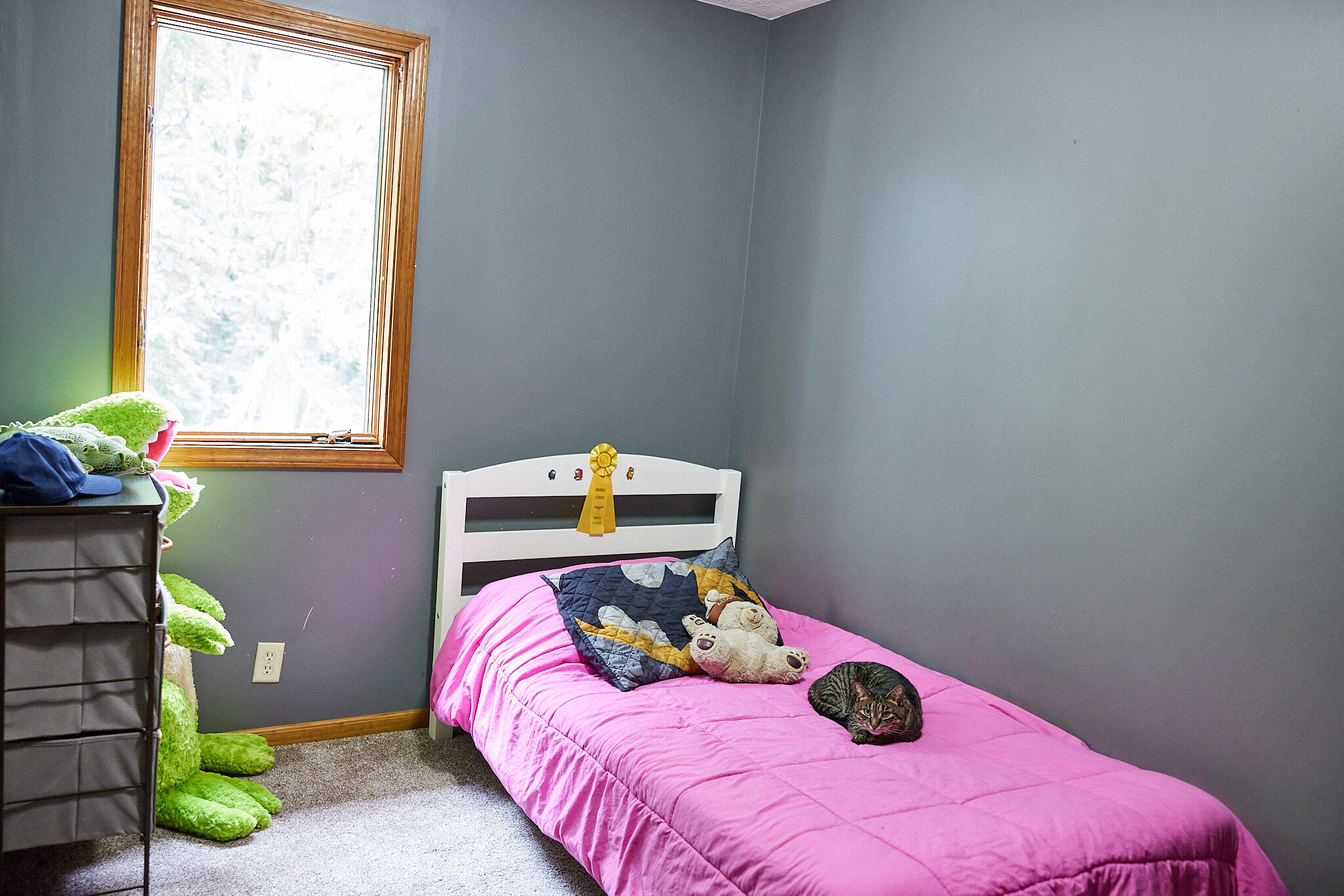 8235 Canfield Road Orleans, MI 48865 - Photo 34 of 93 CampbellHouse_033