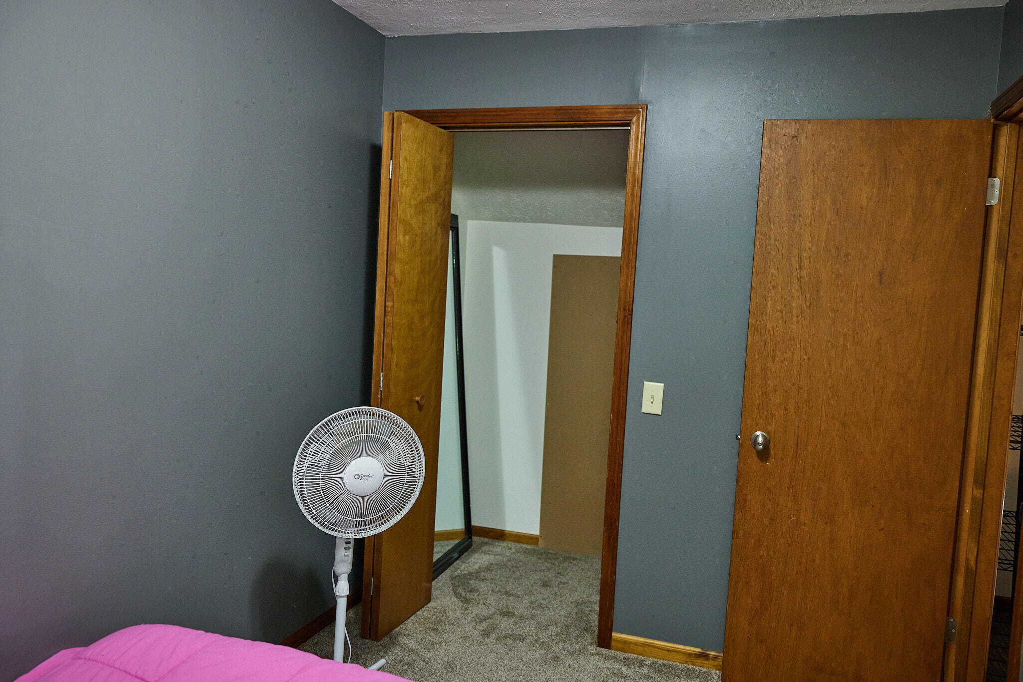 8235 Canfield Road Orleans, MI 48865 - Photo 35 of 93 CampbellHouse_034