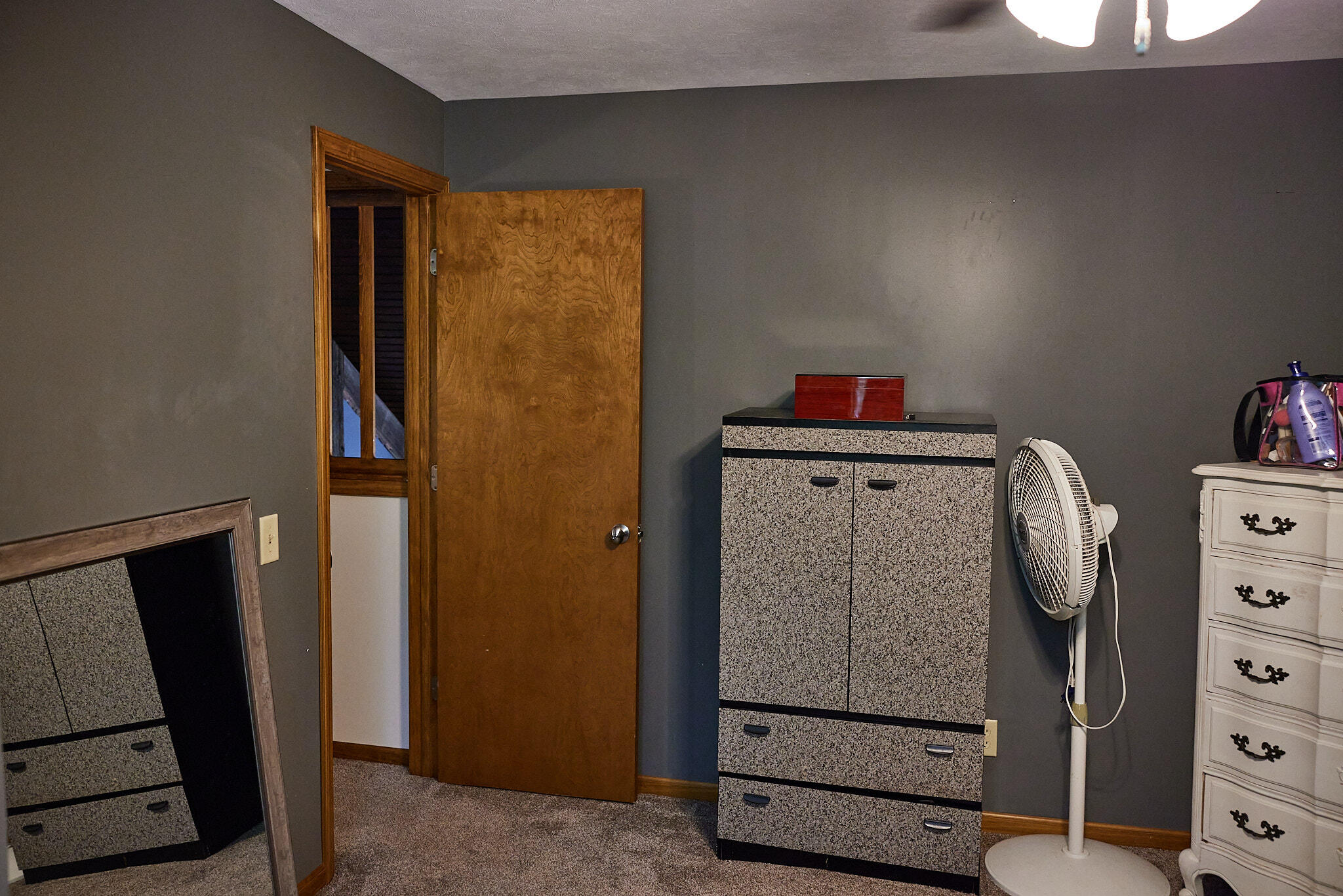 8235 Canfield Road Orleans, MI 48865 - Photo 41 of 93 CampbellHouse_040