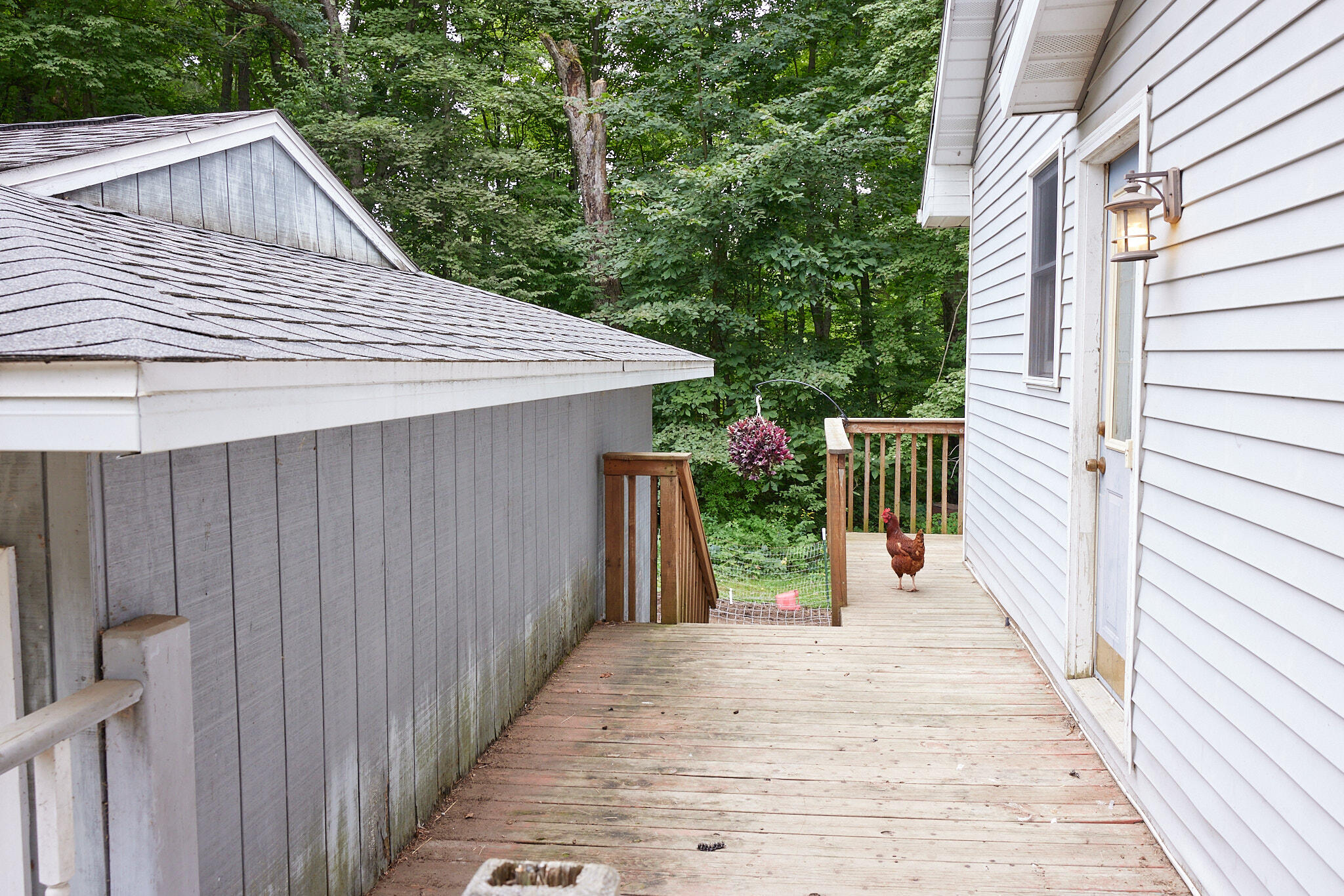 8235 Canfield Road Orleans, MI 48865 - Photo 62 of 93 CampbellHouse_061