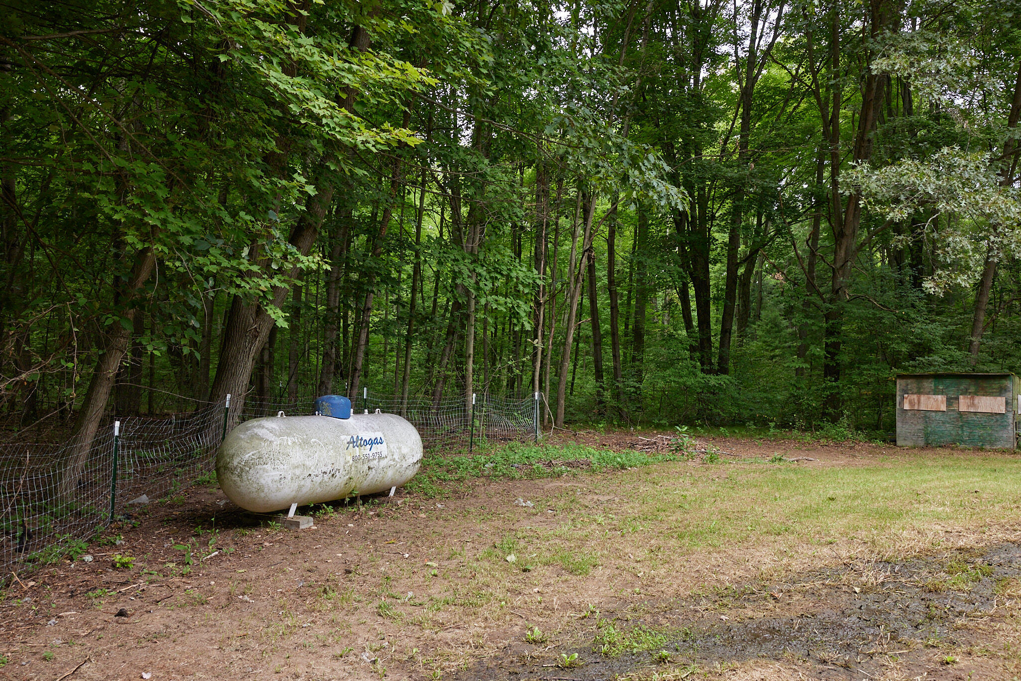 8235 Canfield Road Orleans, MI 48865 - Photo 68 of 93 CampbellHouse_067