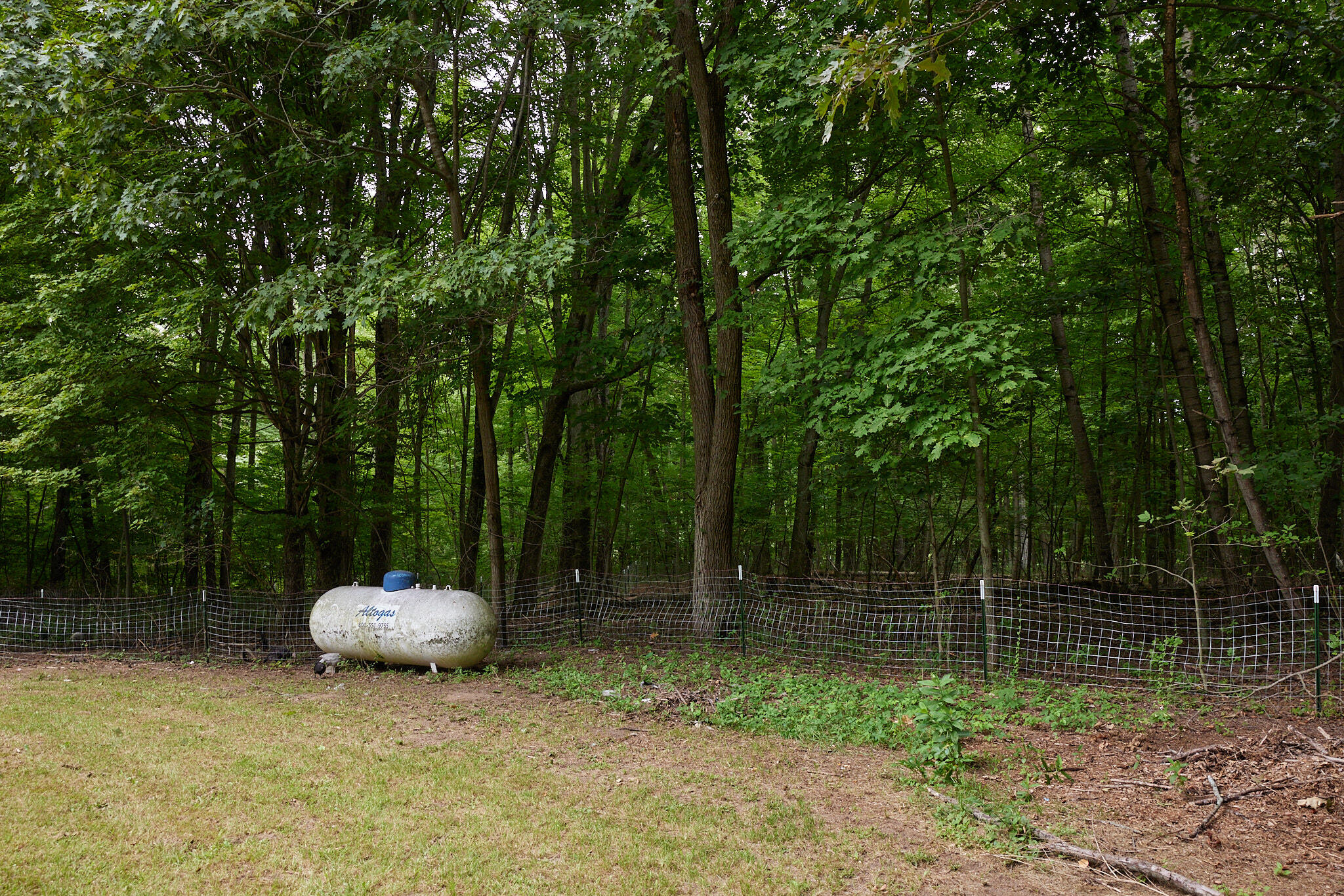 8235 Canfield Road Orleans, MI 48865 - Photo 69 of 93 CampbellHouse_068