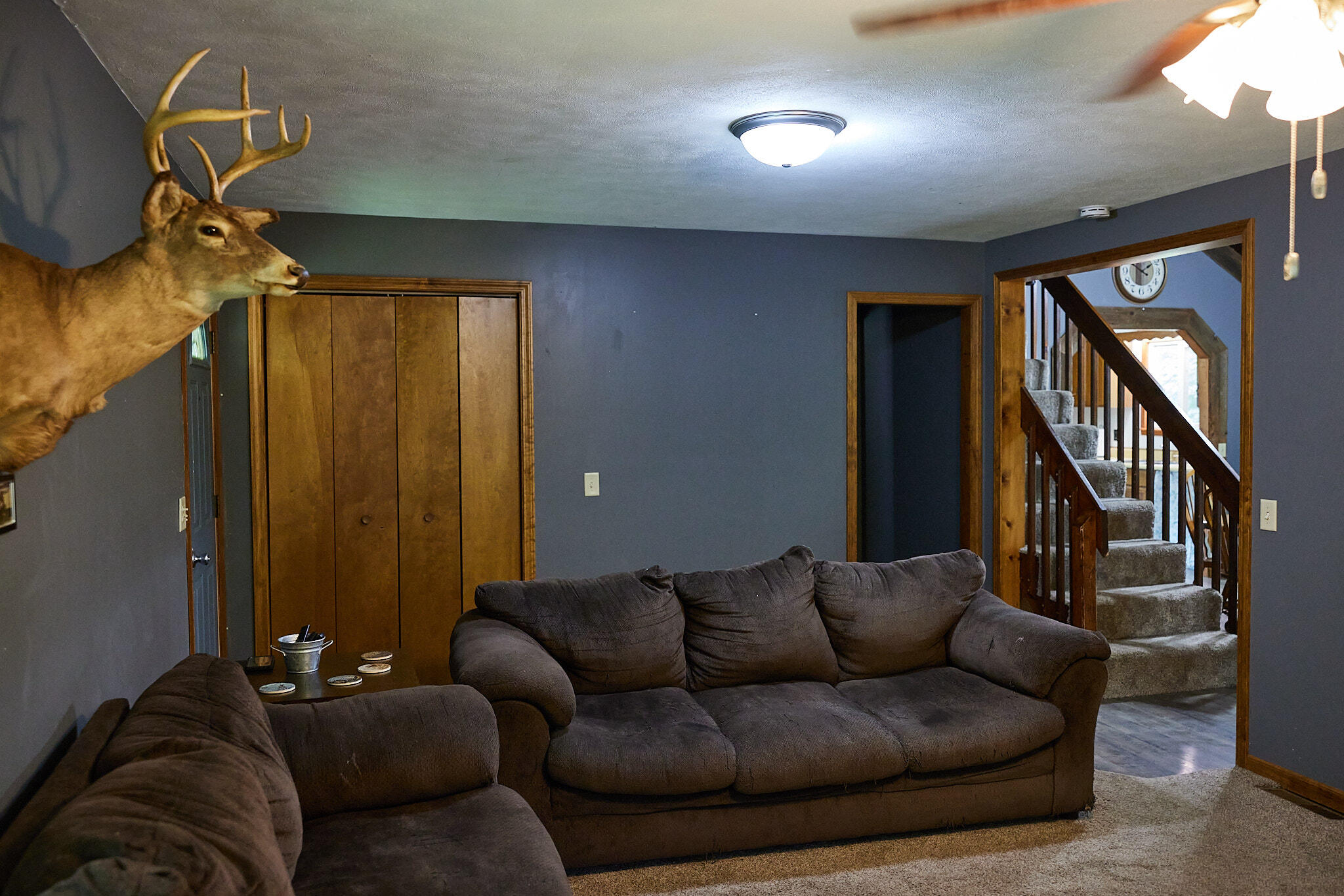 8235 Canfield Road Orleans, MI 48865 - Photo 7 of 93 CampbellHouse_006