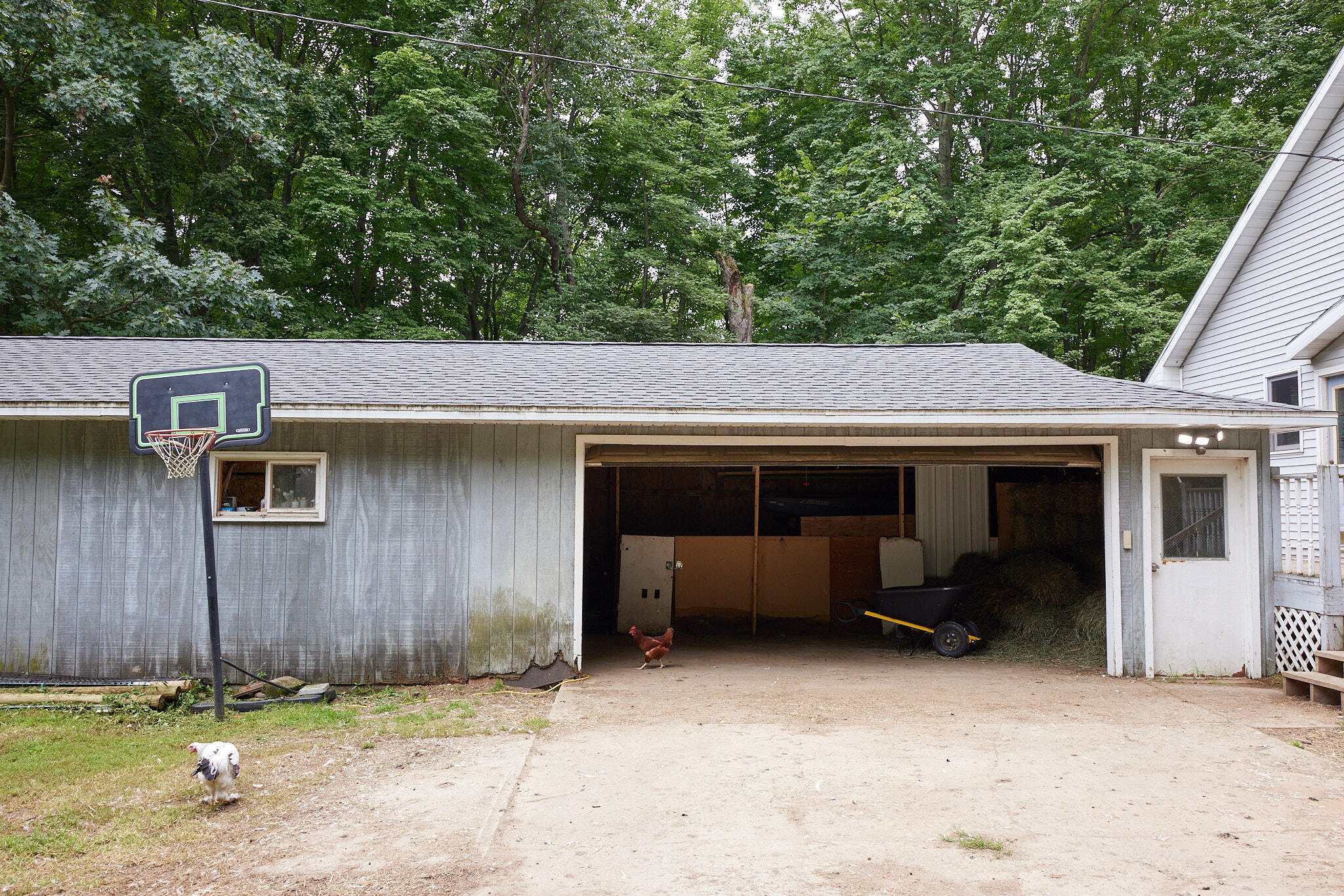 8235 Canfield Road Orleans, MI 48865 - Photo 76 of 93 CampbellHouse_076