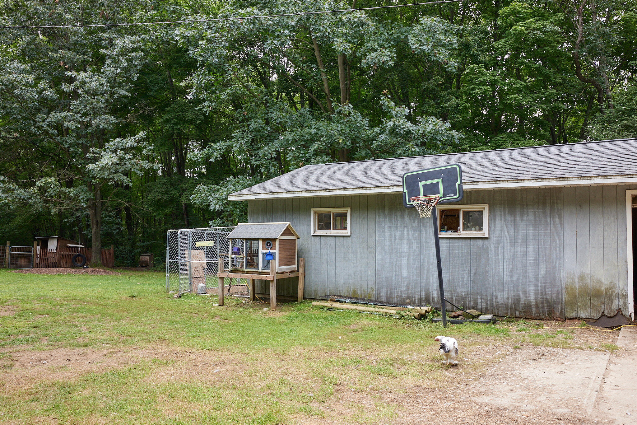 8235 Canfield Road Orleans, MI 48865 - Photo 77 of 93 CampbellHouse_077