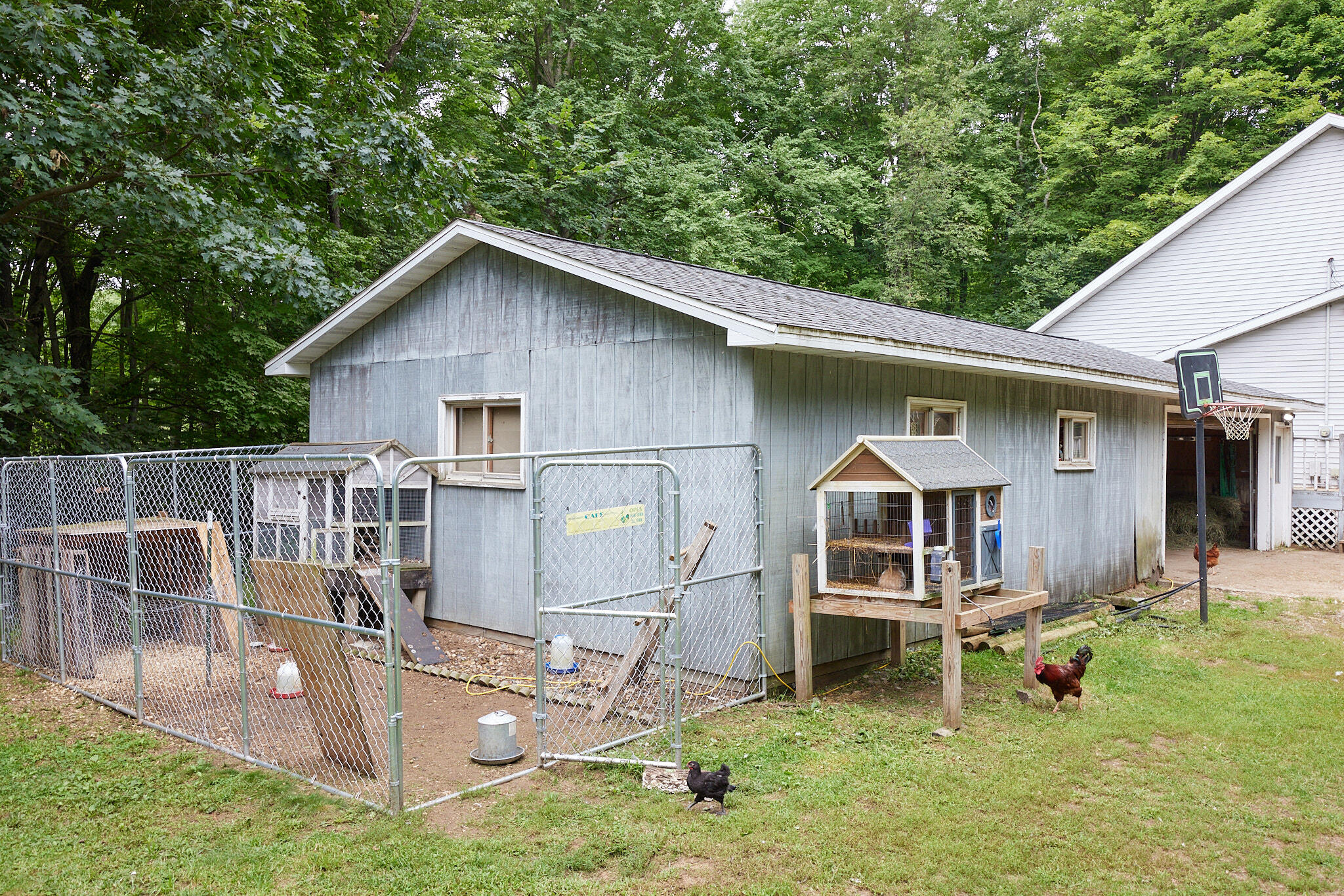 8235 Canfield Road Orleans, MI 48865 - Photo 82 of 93 CampbellHouse_082