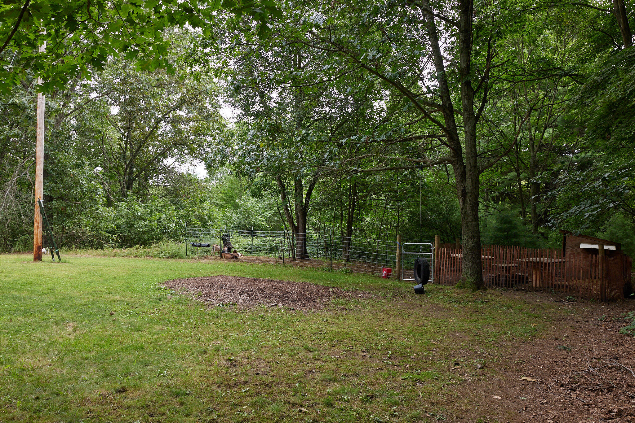 8235 Canfield Road Orleans, MI 48865 - Photo 85 of 93 CampbellHouse_085