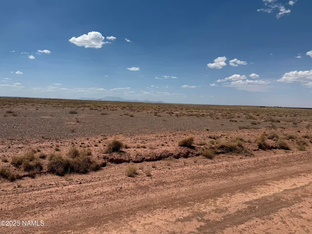 a view of an ocean beach
