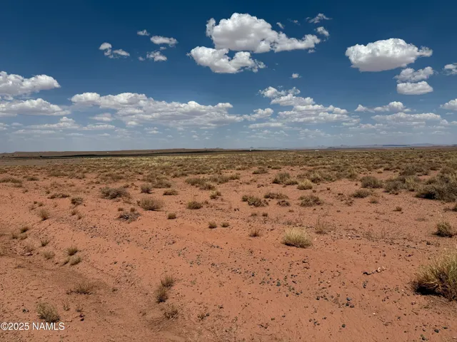 a view of a yard with an empty space