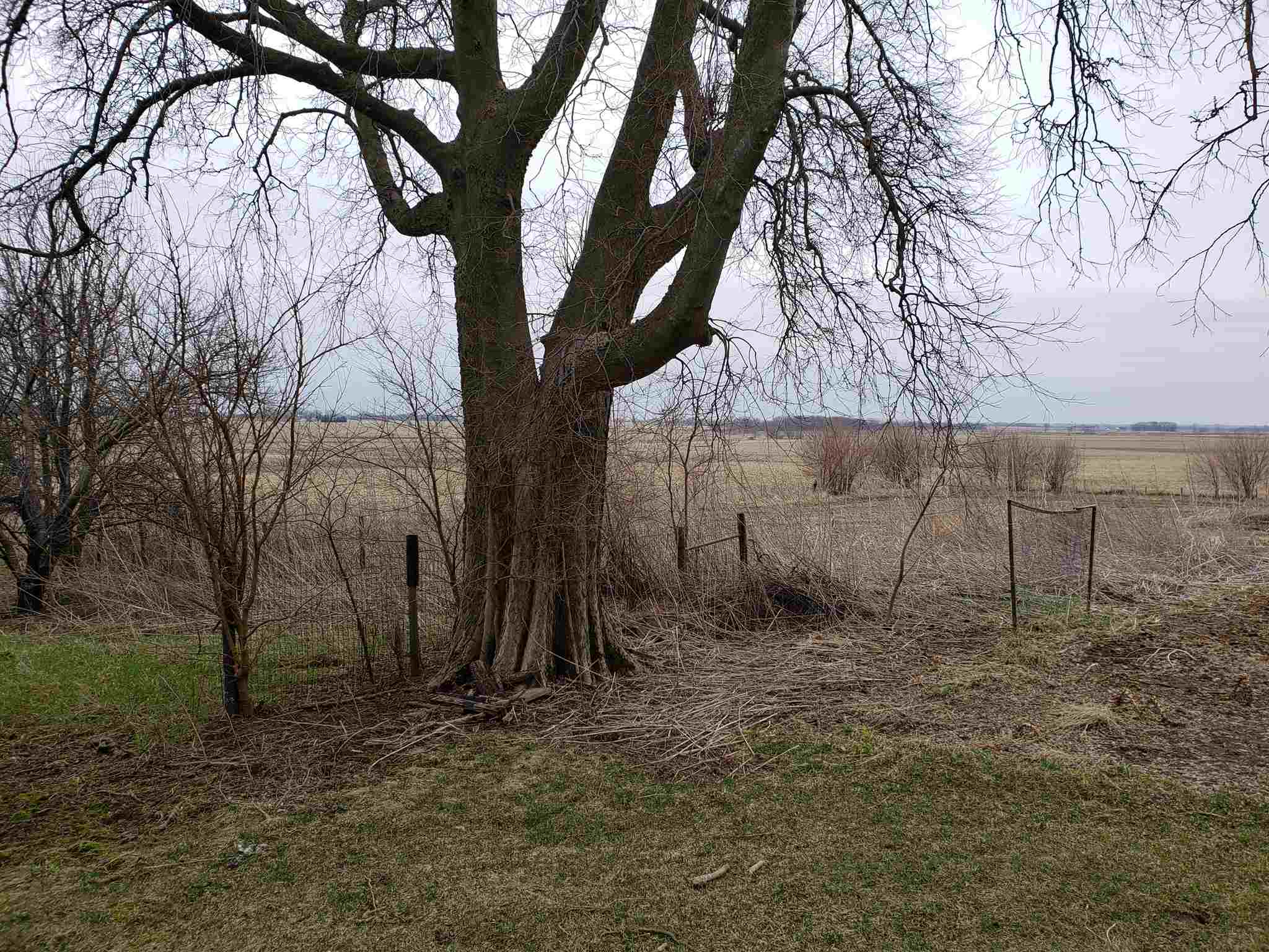 11189 Lyndon Road Lyndon, IL 61261 - Photo 34 of 41