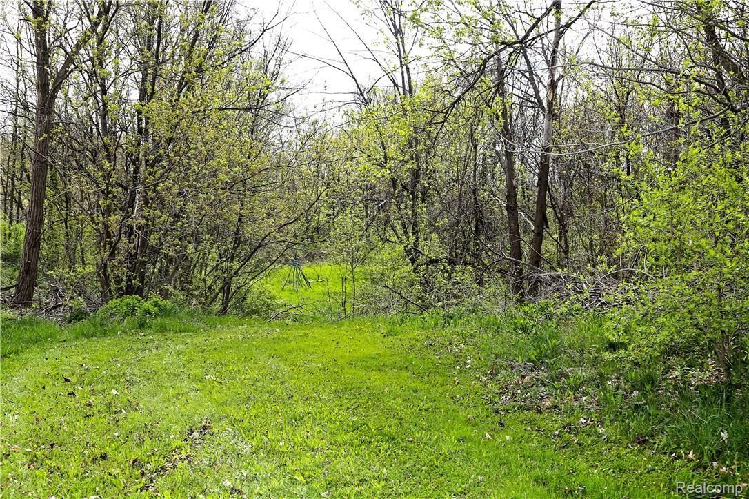 9221 West Mount Morris Road Flushing, MI 48433 - Photo 29 of 33 eIMG_1005.jpg