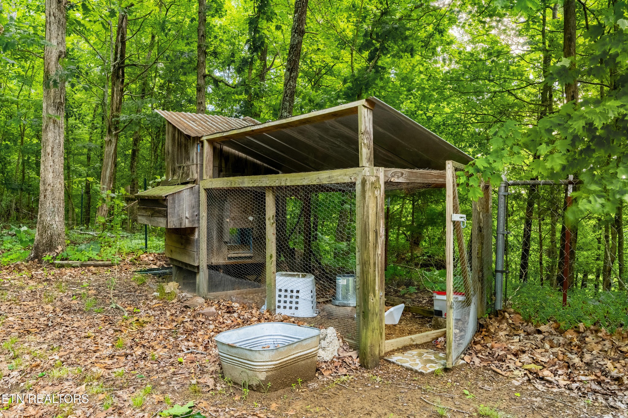 309 Stout Town Road Blaine, TN 37709 - Photo 8 of 29 Gallery Image 8